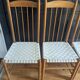 Rare ensemble de six chaises modele"Racine" de Roche Bobois.