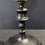 Cabinet of curiosities turbo marmoratus shell on base