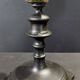 Cabinet of curiosities turbo marmoratus shell on base