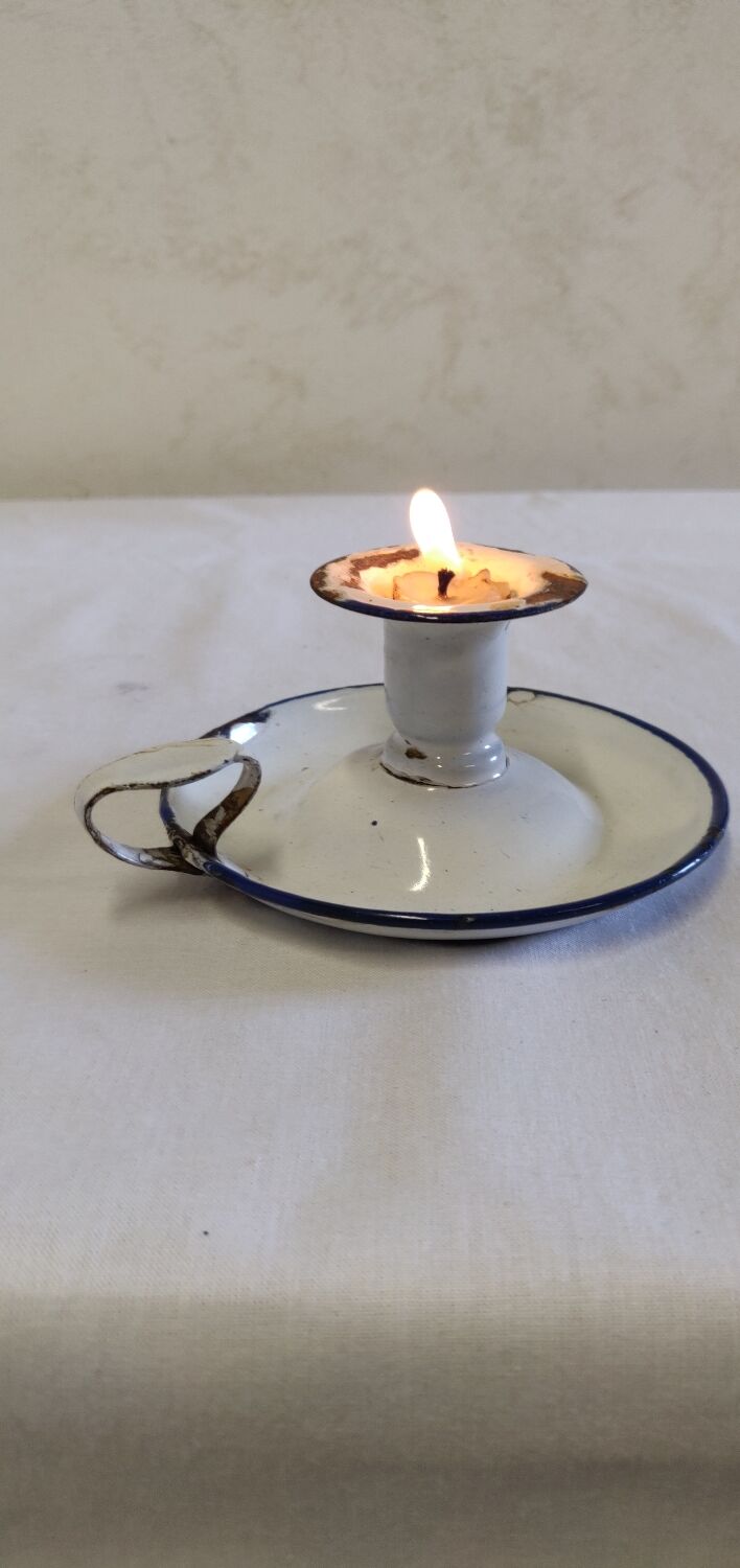 Cellar rat in old enamelled sheet metal