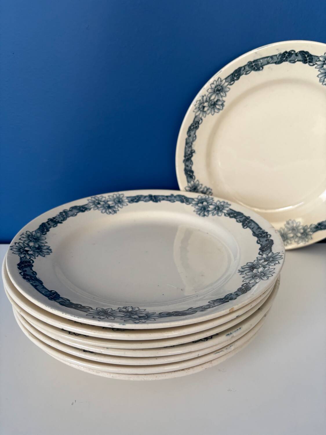 Set of 8 blue ironstone dinner plates Longchamp model Denise.