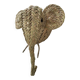 Trophy animal head made of palm leaves - Elephant