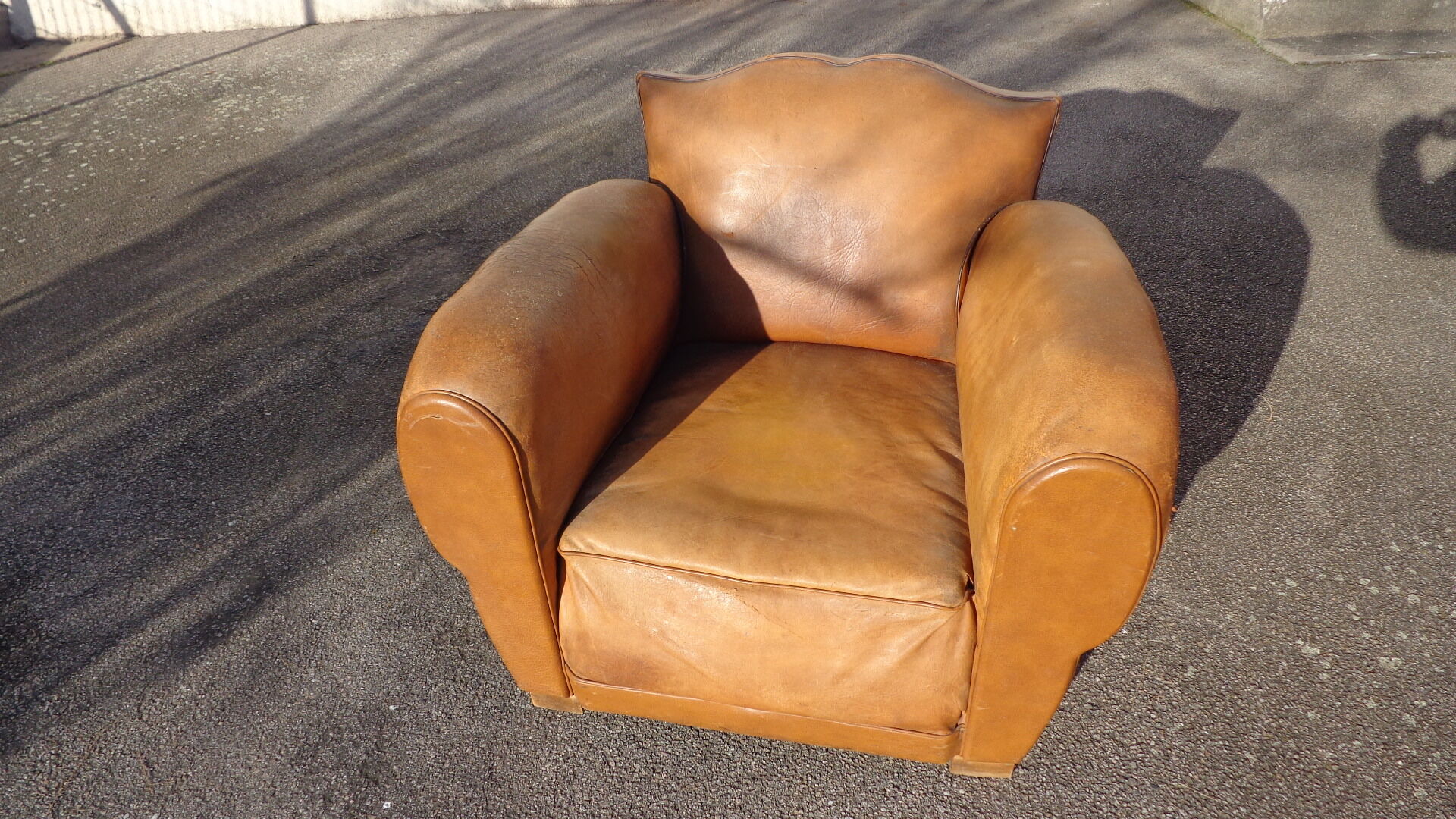 Moutache leather club chair