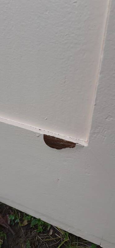 Pair of old cupboard doors h200x60cm each