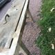 Workbench