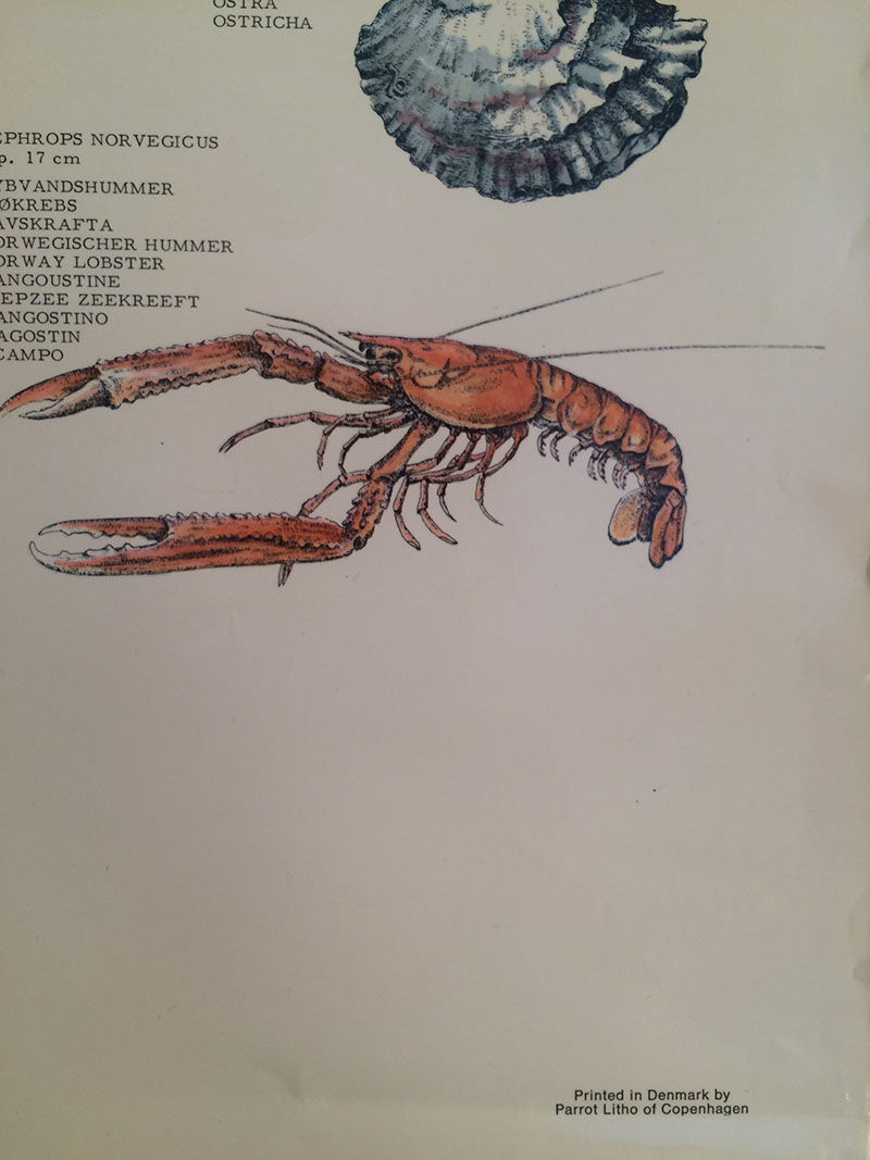 Original vintage marine wildlife poster, 80s