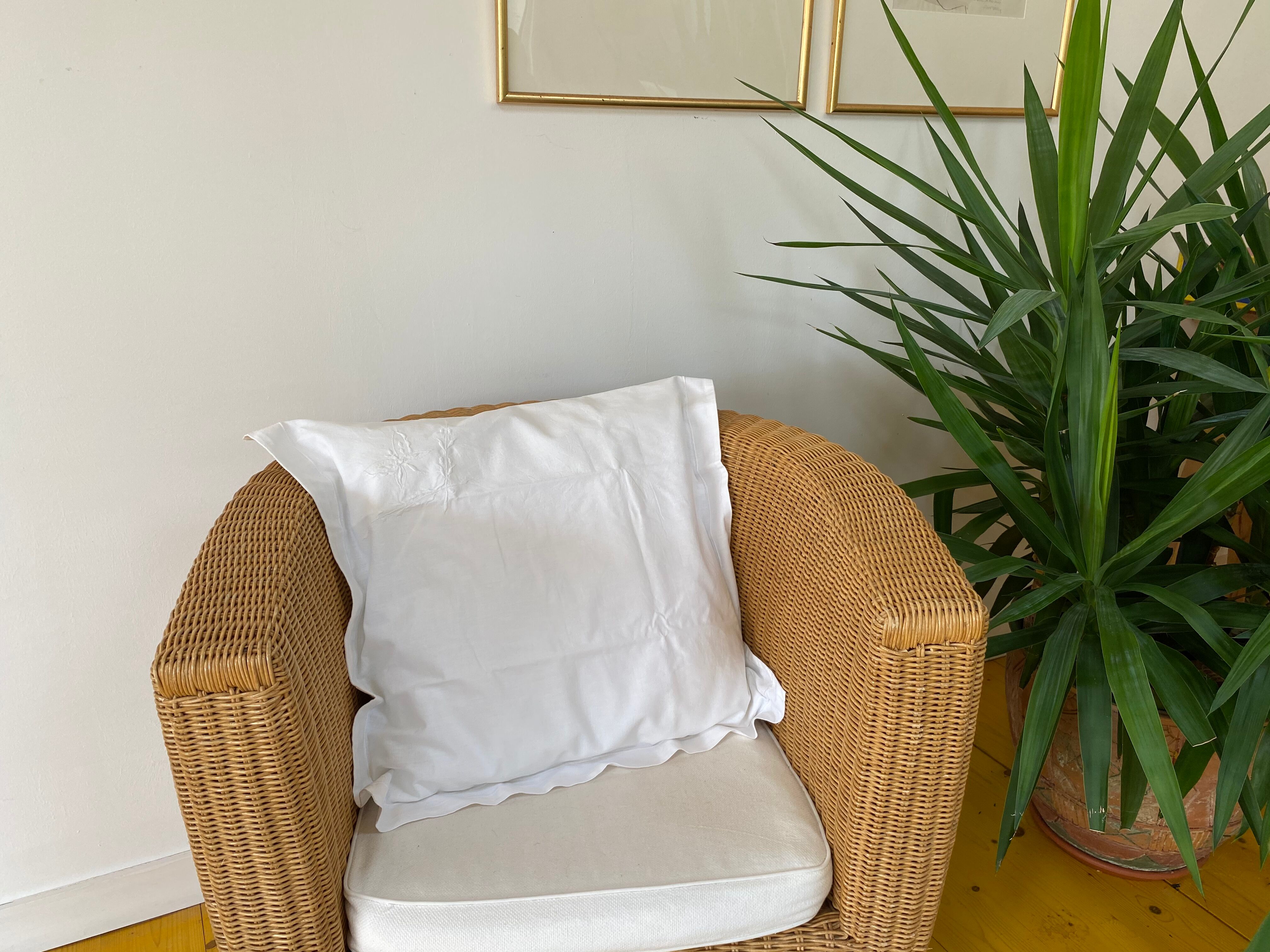 Set of 2 embroidered cotton covers for cushions / pillows