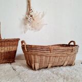 Old rattan basket or basket
