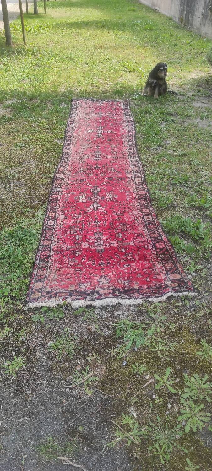 Wool carpet 4 m