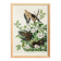 Poster about the mourning dove, based on an old engraving from 1827.