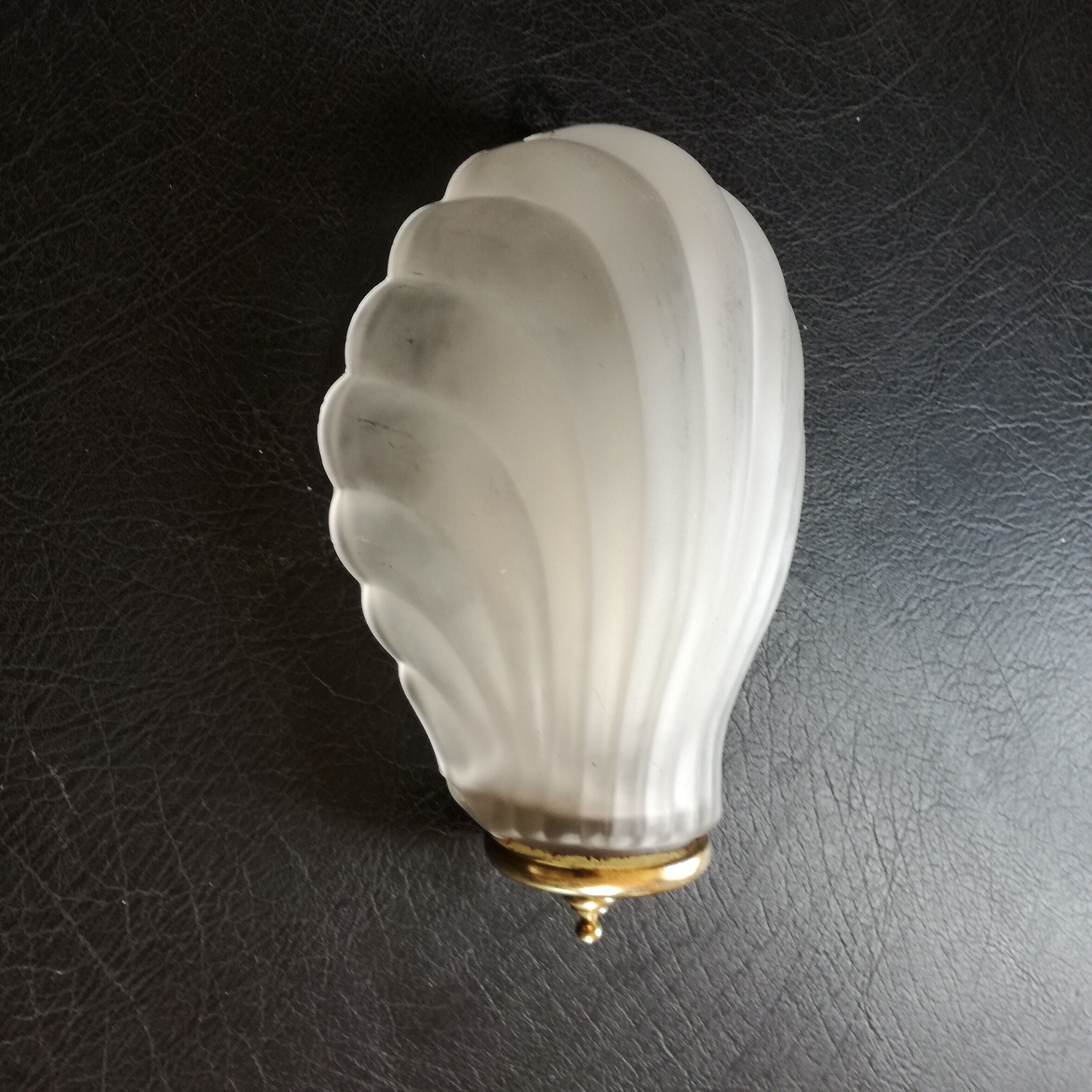 Glass shell sconce