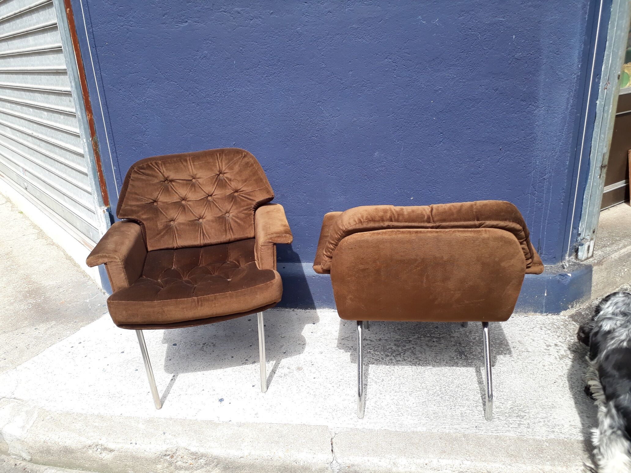 Pair of velvet armchairs