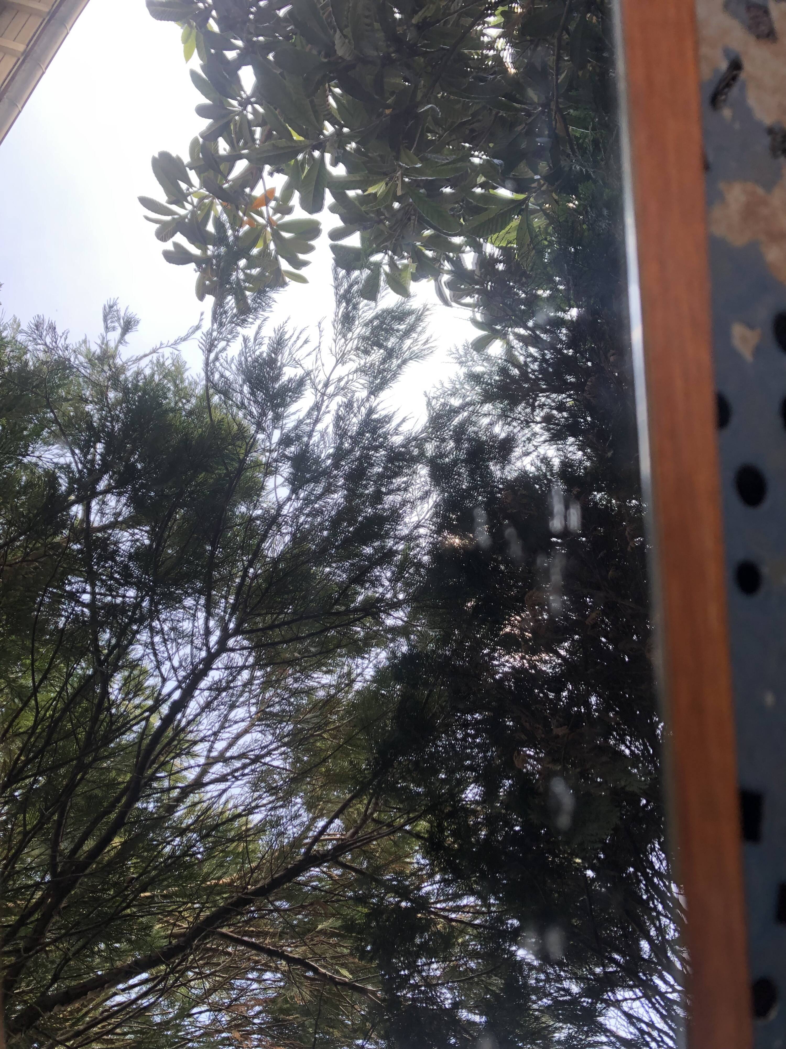 Scandinavian teak mirror 60s