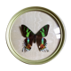 Butterfly bomb round frame