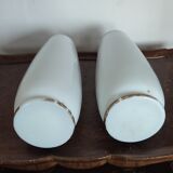 Porcelain vases