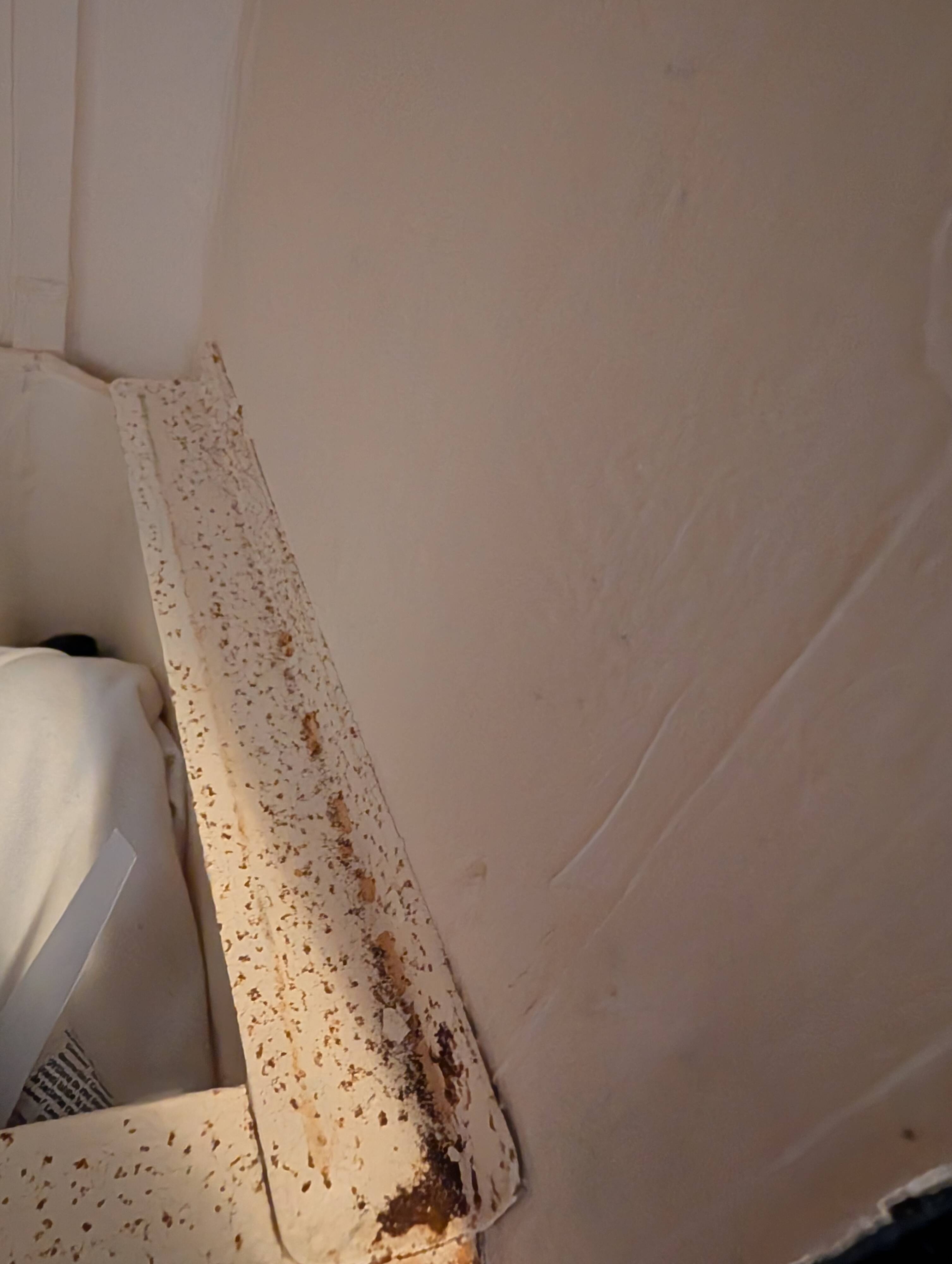 Old Cabin Trunk / Wardrobe Travel Trunk