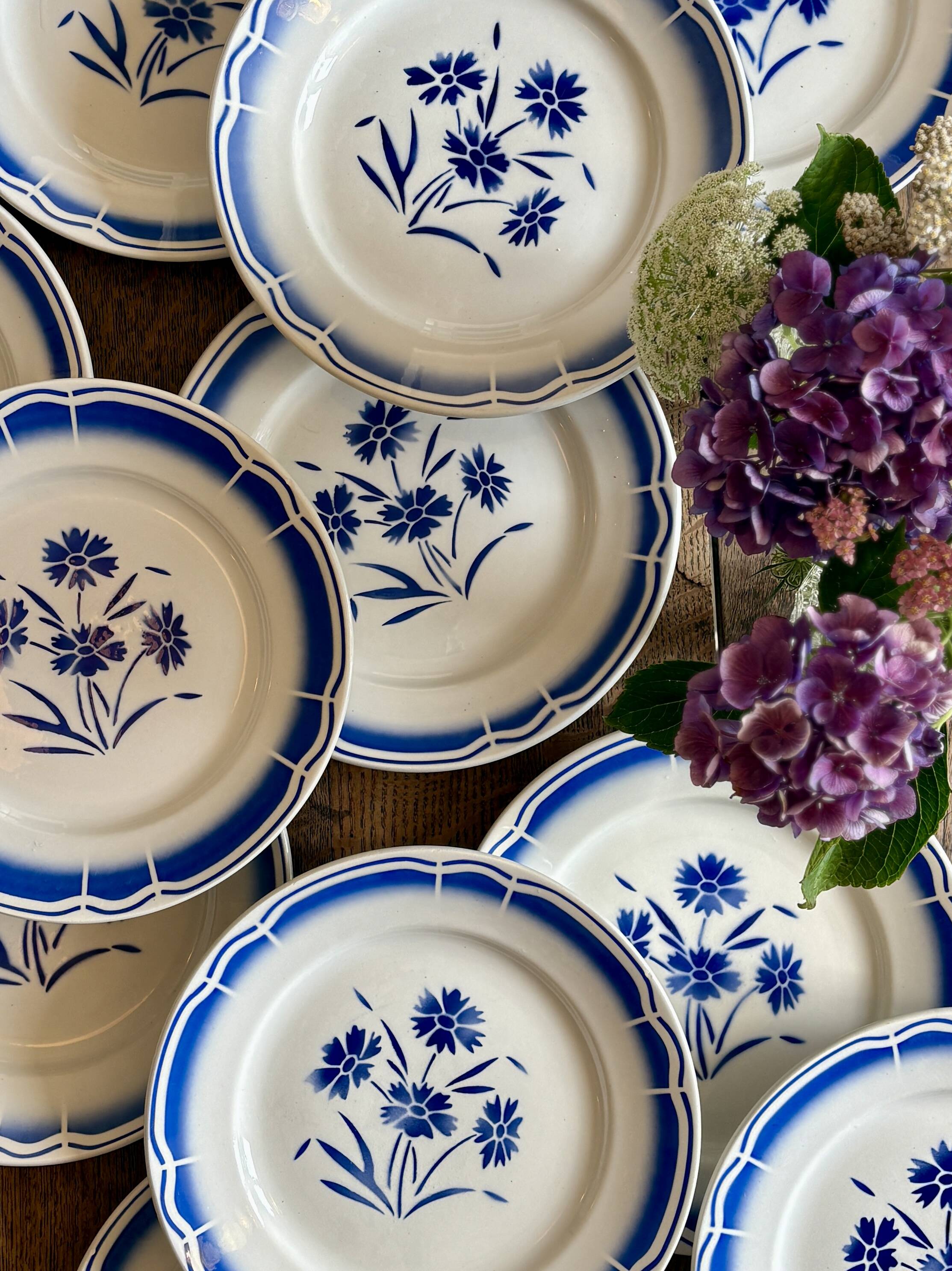 Set of 12 antique flat plates, blue flower decorations