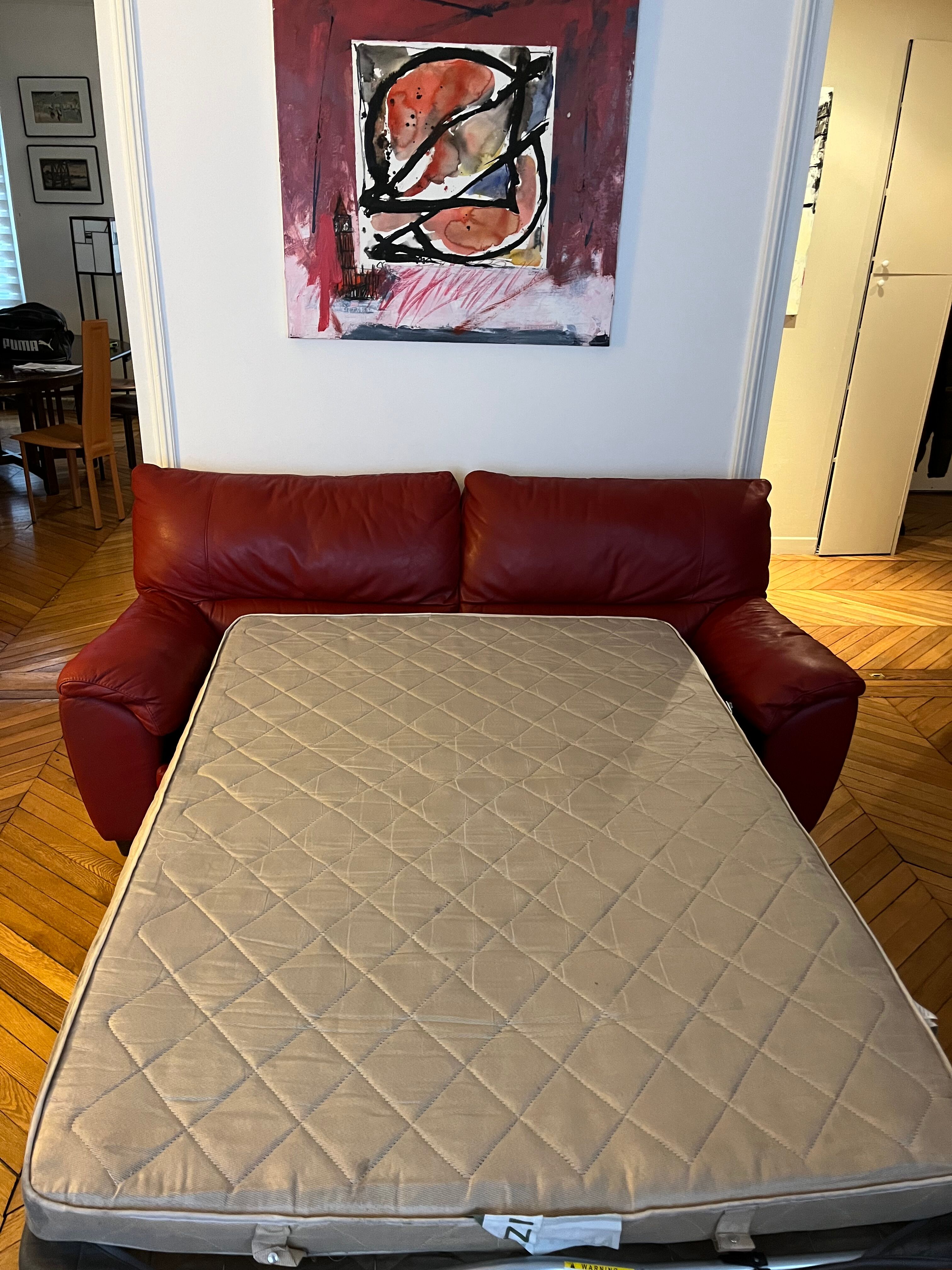 Set convertible leather sofa and footrest Natuzzi