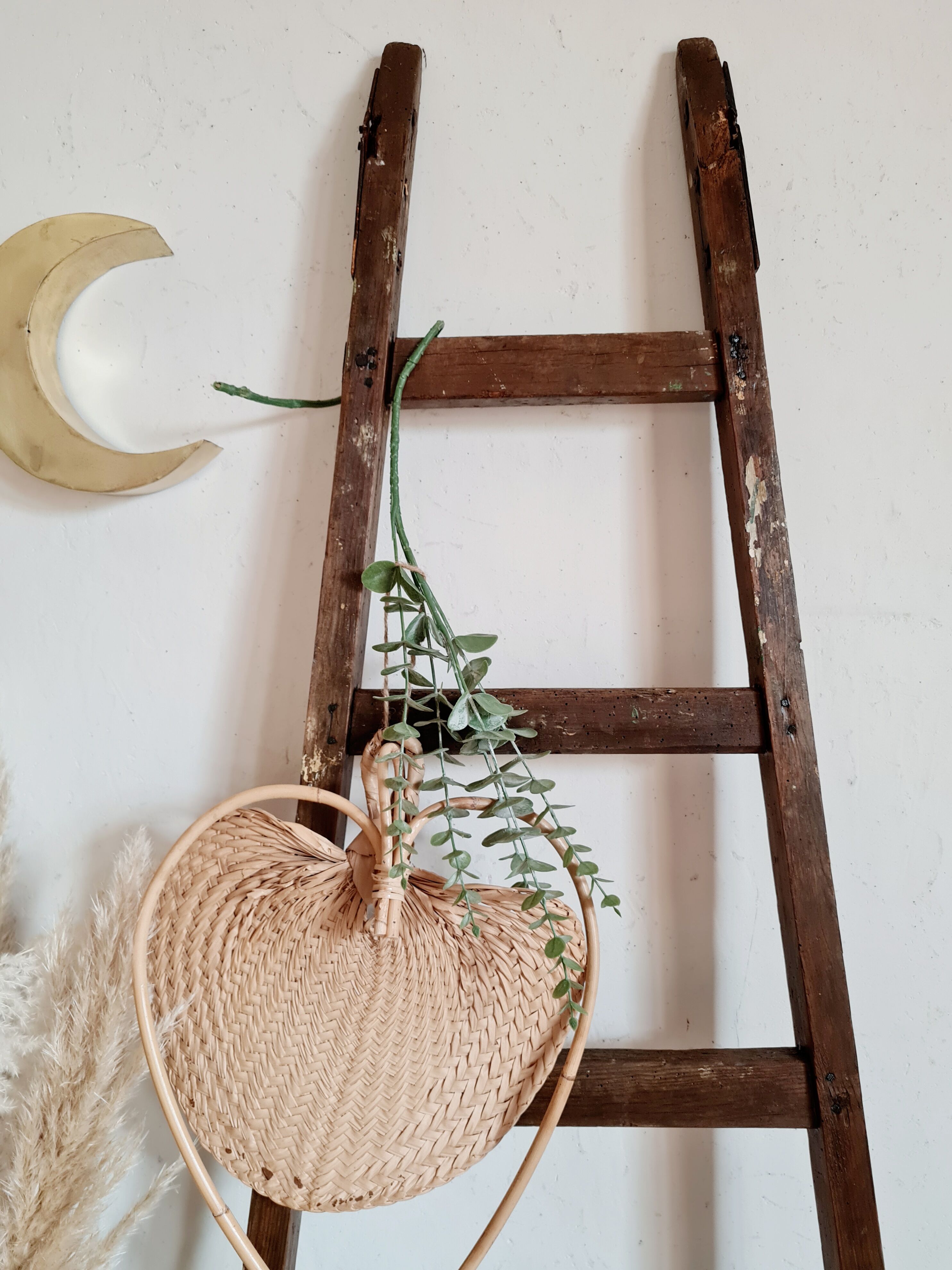 Old wooden farm ladder