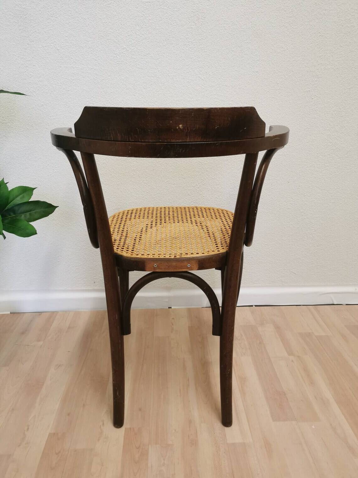 Vintage Bentwood Dining Chair with Cane Seat - Thonet Style