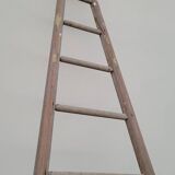 Échelle de maraîcher récolte fruitière en bois ancien -3m65