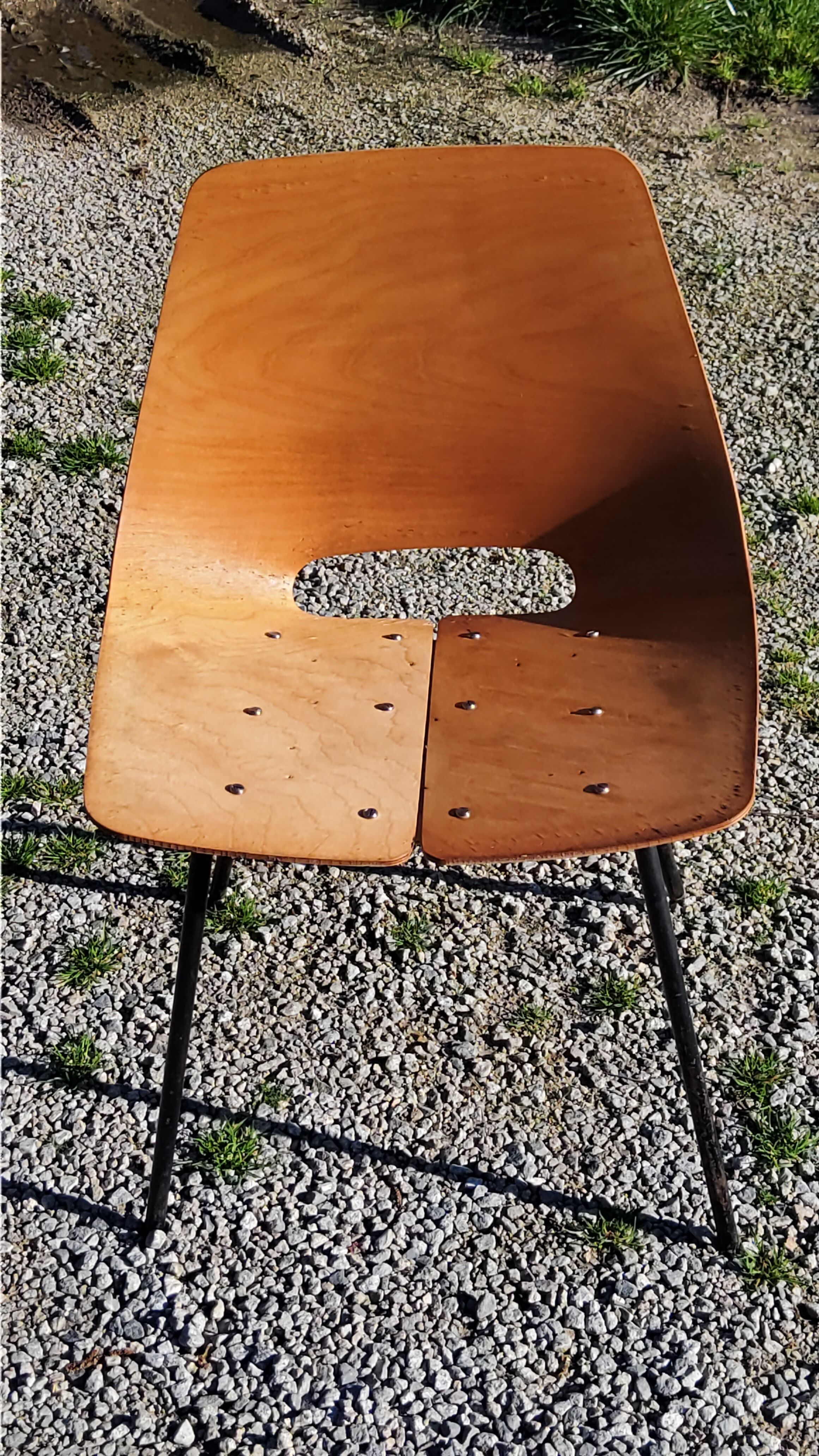 Pair of tonneau chairs by Pierre Guariche plywood base tubes 1954