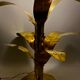 Palm tree brass floor/table lamp, Bottega Gadda Italy, 1960