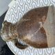 Stoneware pitcher by Pierre Digan