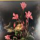 Still life Roger Comte flowers