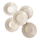Service of 5 Digoin hollow plates