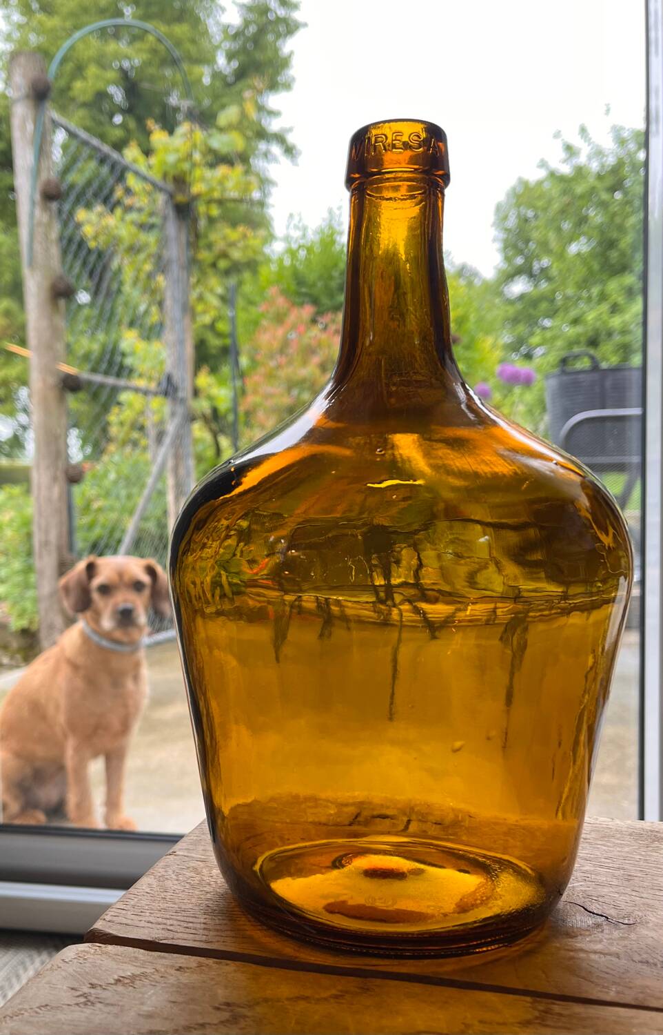 Amber demijohn viresa