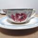 coffee cups and saucers sarreguemine
