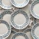 12 flat ironware plates “Louis XVI” Saint Amand and Hamage