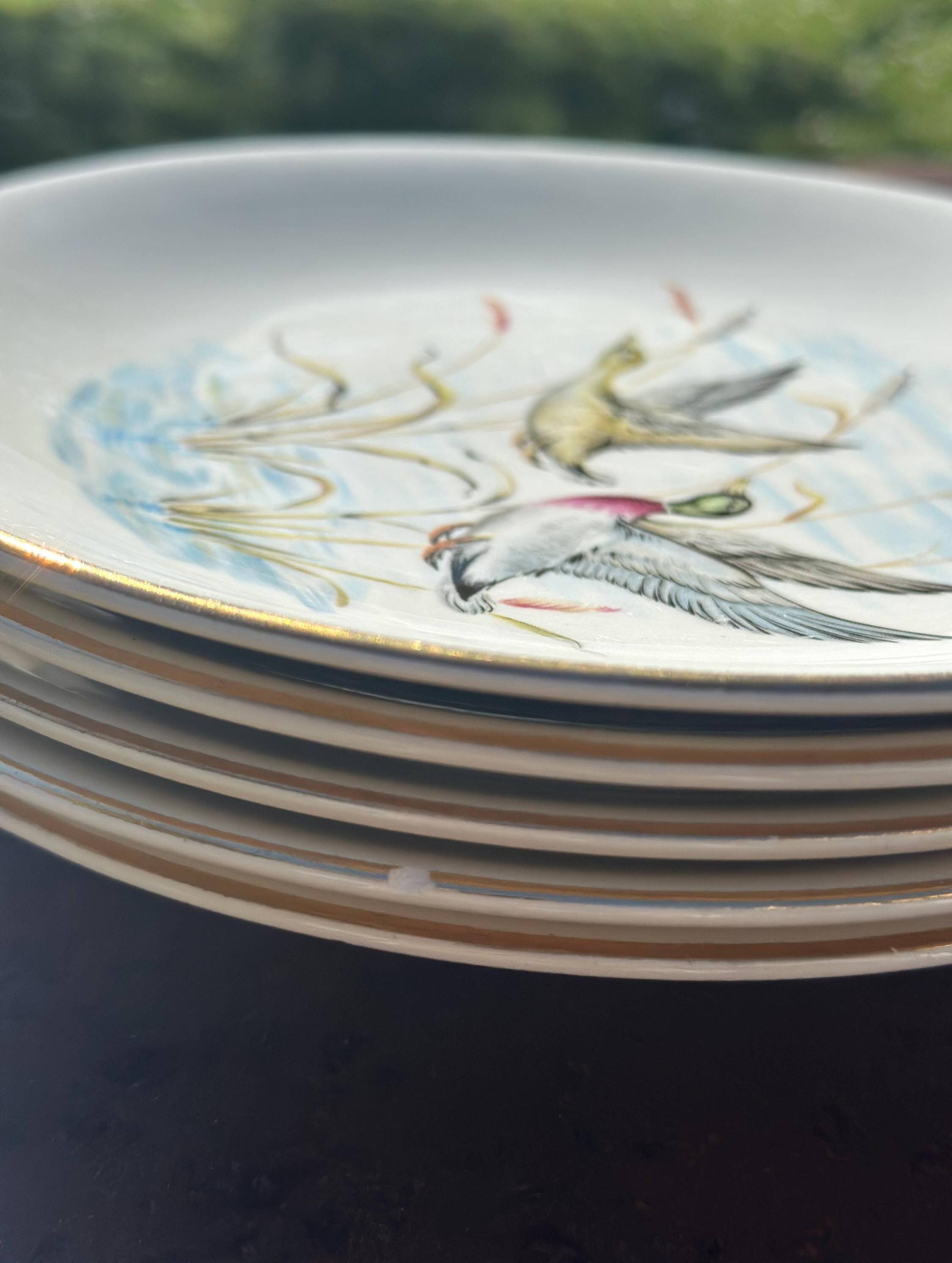Set of 5 flat plates in Gien earthenware, Primefleur collection.