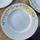 13 Richard Ginori flat and deep plates