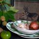 Set of plates Moulin des Loups vintage