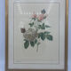 Cadre lithographie vintage