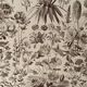 Lithograph on flowers from 1928, annuals and biennials plants