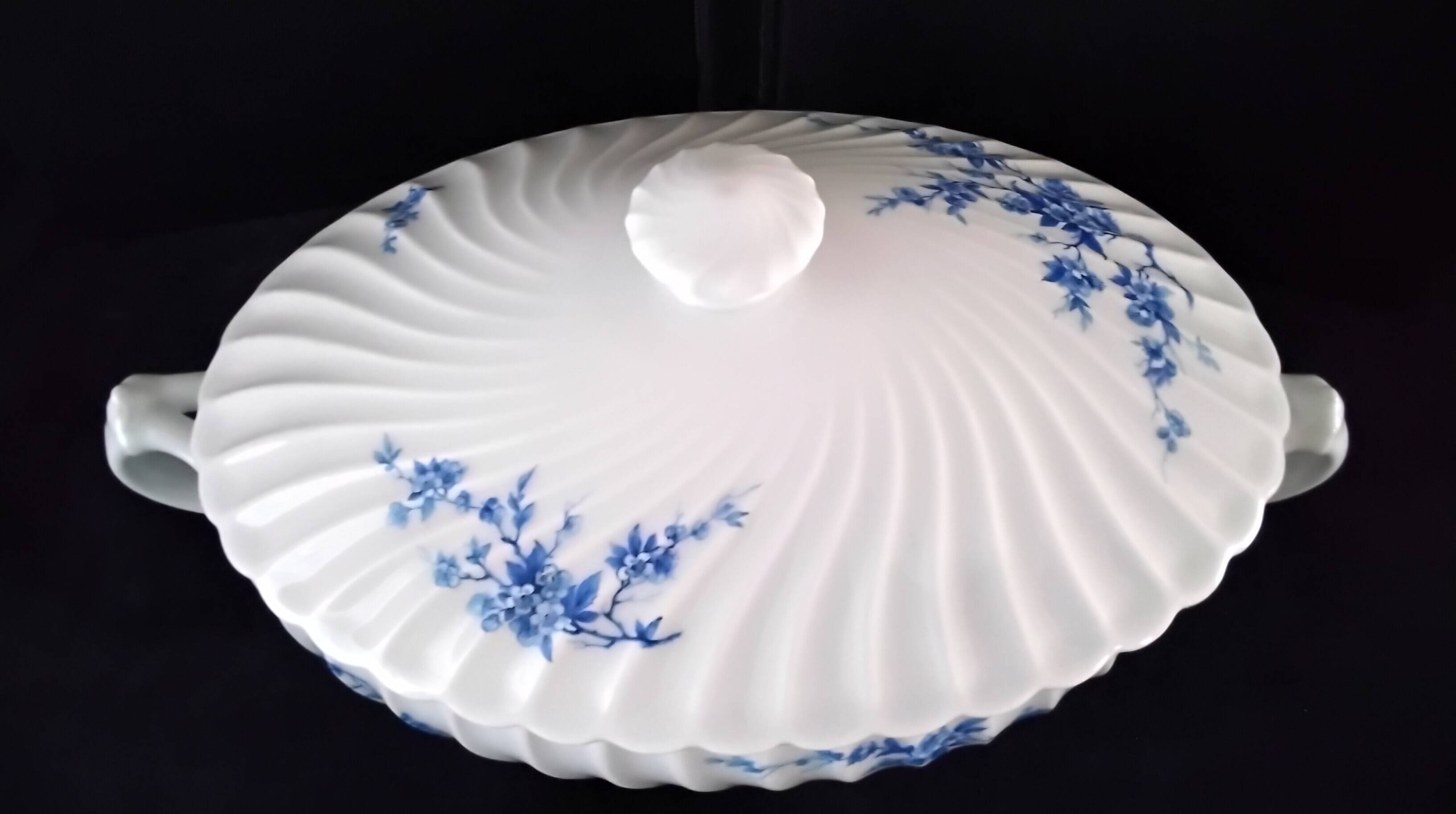 Haviland Limoges porcelain soup tureen