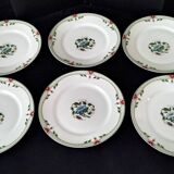 6 Assiettes plates en porcelaine de Limoges