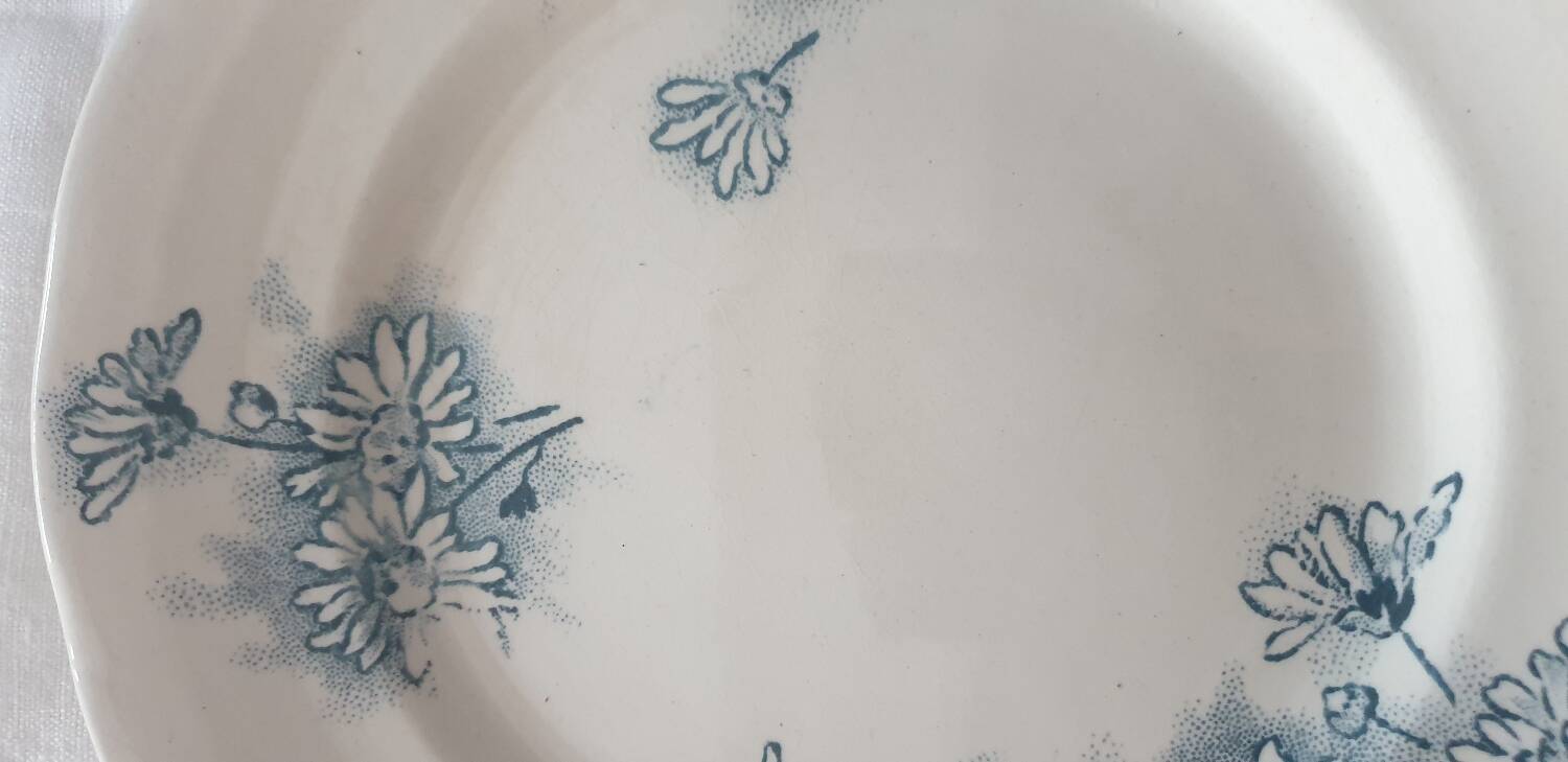 Four Marguerite plates