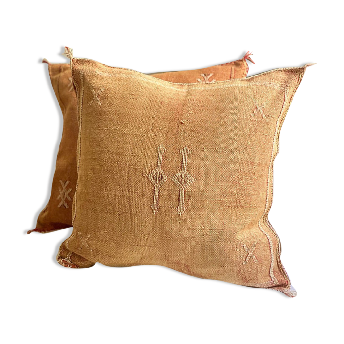 Faded orange cactus silk sabra cushion cover