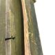 Vintage green wooden industrial box / chest / military crate