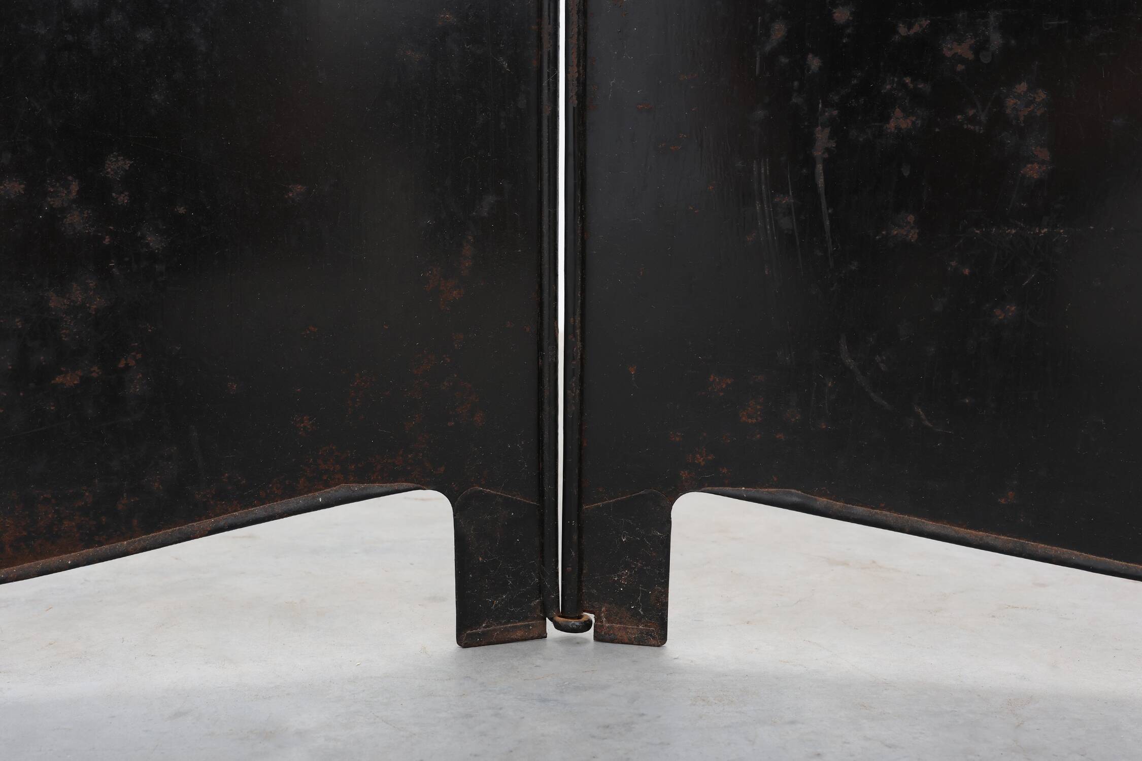 Art Nouveau Black Lacquered Two-Panel Screen with Hand-Painted Irises, Fran