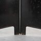 Art Nouveau Black Lacquered Two-Panel Screen with Hand-Painted Irises, Fran