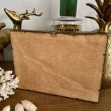 Frame 4 naturalized scorpions de curiosity cabinet