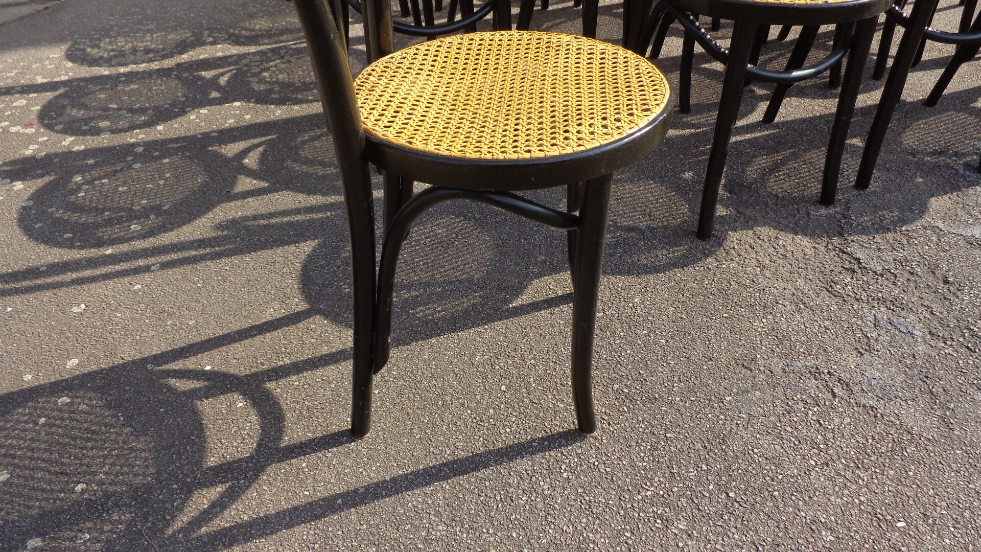 Set of 20 curved wooden chairs