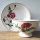 Old bowl "Luxeuil" Hbcm and plate