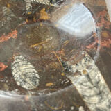 Vintage stone ashtray with orthoceras fossils
