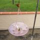 Glass pendant light